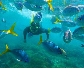 G Adventures - Accommodation ACT 0