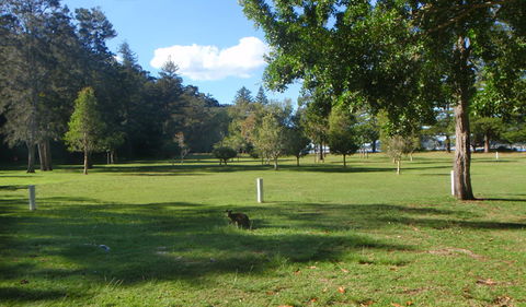 The Basin Picnic Area - Accommodation ACT 1