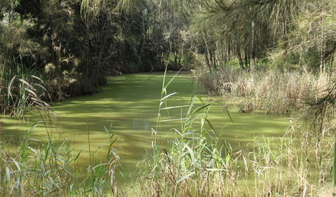 Second Ponds Creek Walk - Accommodation ACT 0