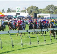 Morphettville Racecourse - Accommodation ACT