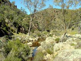 Saunders Gorge Sanctuary - Accommodation ACT 1