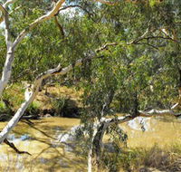 Quilberry Creek Fishing - Accommodation ACT