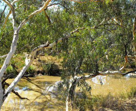 Quilberry Creek Fishing - Accommodation ACT 0