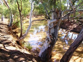Quilberry Creek Fishing - Accommodation ACT 1