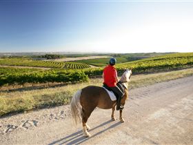 Kidman Trail - Accommodation ACT 0
