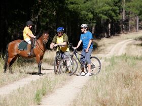 Kidman Trail - Accommodation ACT 1