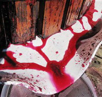 Cradle of Hills McLaren Vale Winery - Accommodation ACT