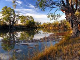Murray River National Park - Accommodation ACT 0