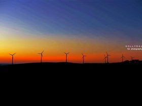 Starfish Hill Windfarm - Accommodation ACT 0
