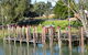 Wentworth Wharf - thumb 0
