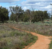 Grasslands Nature trail - Accommodation ACT