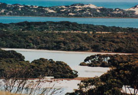 Coorong National Park - Accommodation ACT 2