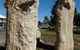 Fossilised Forrest Sculptures - thumb 0