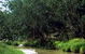 Salvator Rosa Section - Carnarvon National Park - thumb 0