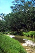 Salvator Rosa Section - Carnarvon National Park - Accommodation ACT 0