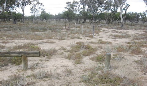 Culgoa Connellys Track - Accommodation ACT 0