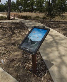 Wallam Creek, Bollon - Accommodation ACT 1