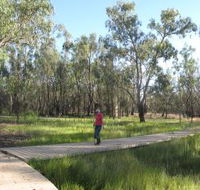 Ben Scott Memorial Bird Trail - Accommodation ACT