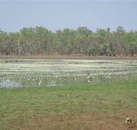 Leaning Tree Lagoon Nature Park - Accommodation ACT
