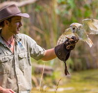 Territory Wildlife Park - Accommodation ACT