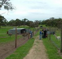 Avenue Emus - Accommodation ACT