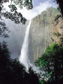 Wallaman Falls, Girringun National Park - Accommodation ACT 1