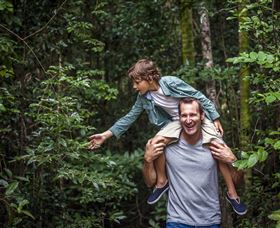 Paluma And Crystal Creek Rainforest - Accommodation ACT 1