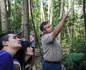 Paluma And Crystal Creek Rainforest - Accommodation ACT 2