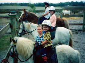 Limestone Coast Horseriding - Accommodation ACT 1