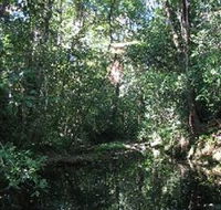 Wabunga Wayemba Charmillan Creek walking track - Accommodation ACT