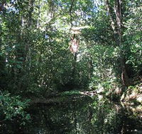 Misty Mountains Wilderness Walking Tracks - Accommodation ACT