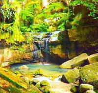 Carnarvon Gorge Carnarvon National Park - Accommodation ACT