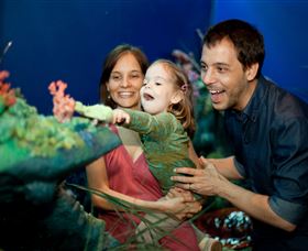 Museum Of Tropical Queensland - Accommodation ACT 2