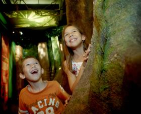 Museum Of Tropical Queensland - Accommodation ACT 1