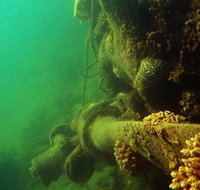 Wreck Diving at Magnetic Island - Accommodation ACT