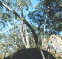Dergholm State Park - Accommodation ACT