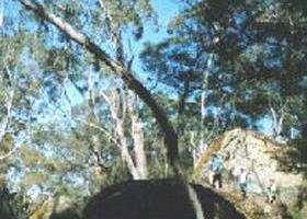 Dergholm State Park - Accommodation ACT 0