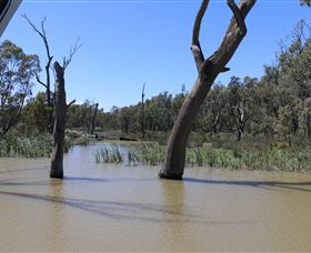 Wetlander Cruises - Accommodation ACT 4