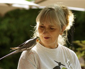 Gredgwin ACT Accommodation ACT
