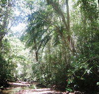 Mount Lewis National Park - Accommodation ACT