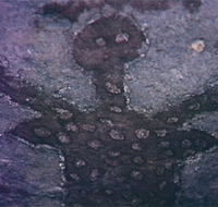 Quinkan Reserves Ancient Rock Art - Accommodation ACT