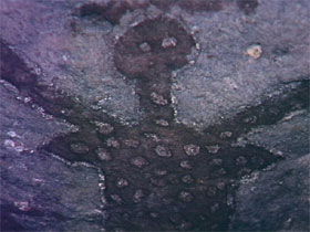 Quinkan Reserves Ancient Rock Art - Accommodation ACT 0
