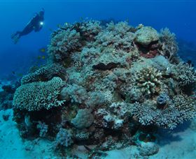 Keeper Reef Dive Site - Accommodation ACT 1