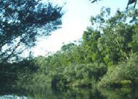Crawford River Regional Park - Accommodation ACT 0
