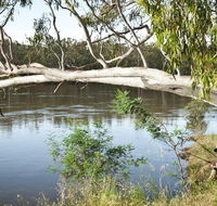 Murray Valley National Park - Accommodation ACT