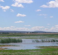 Fivebough Wetlands - Accommodation ACT