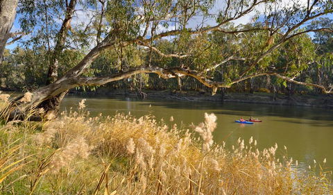 Murrumbidgee Valley National Park - Accommodation ACT 3