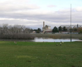 McCaughey Bicentennial Park - Accommodation ACT 1