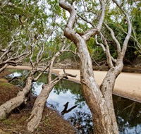 Oyala Thumotang National Park CYPAL - Accommodation ACT