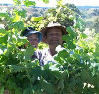 Wimmera Hills Winery - Accommodation ACT